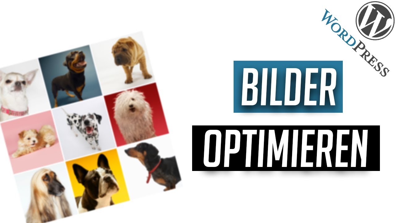 Bilder optimal für das Web vorbereiten - WordPress