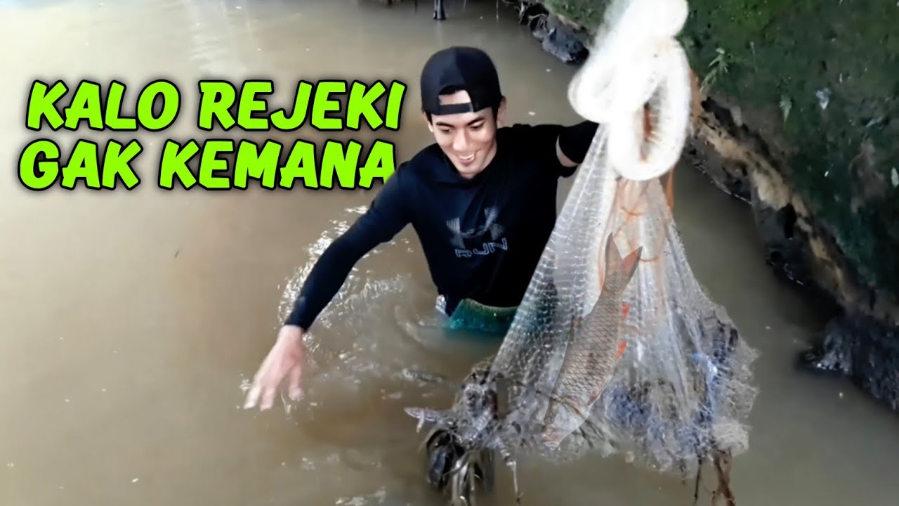 Hasilnya Memuaskan!! Menjala Ikan di Spot Dangkal