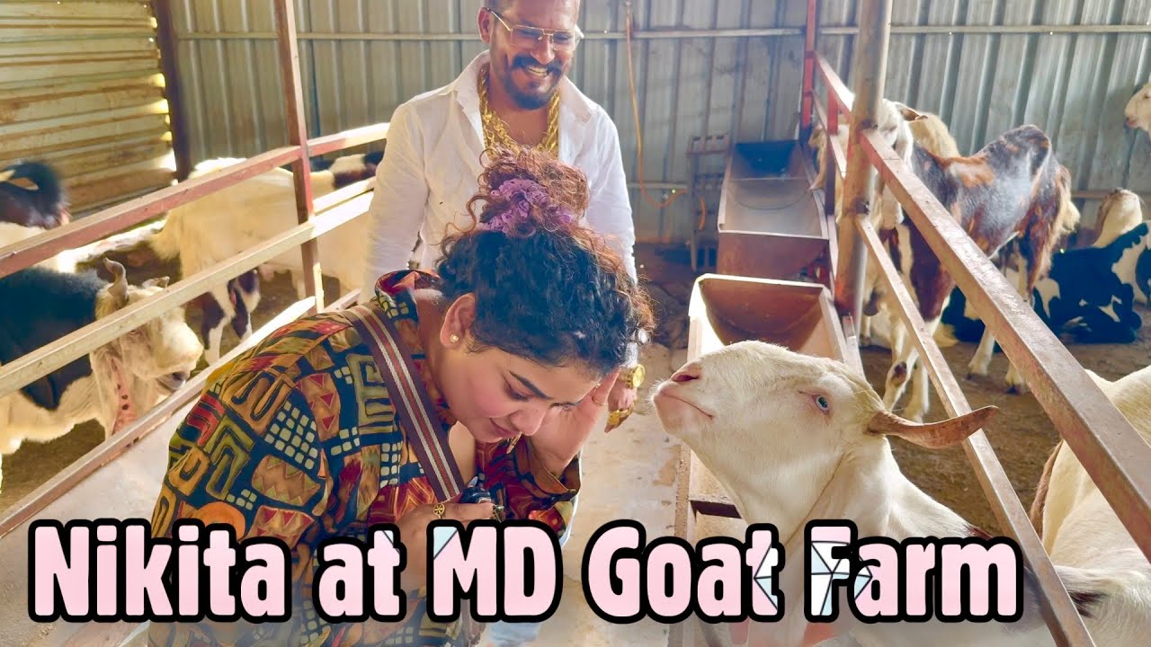 MD Goat Farm Full Tour With Curlyhairbae Nikita & Vines Hameed