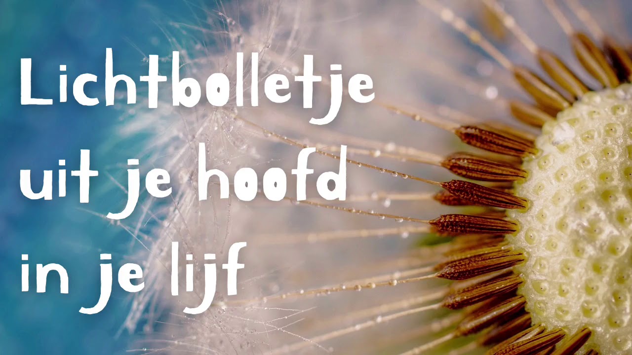 Visualisatie / geleide meditatie - Lichtbolletje: uit je hoofd in je lijf