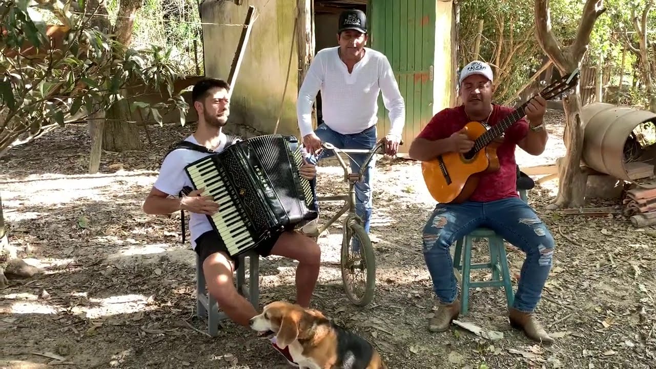 Vazei na Braquiara - Gino & Geno - Falc&atilde;o & Vardel e Gustavo Neves Acordeon