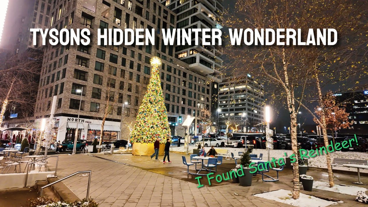 The Ultimate Tysons Christmas Crawl: : 4 Must-Visit Places for Holiday Lights