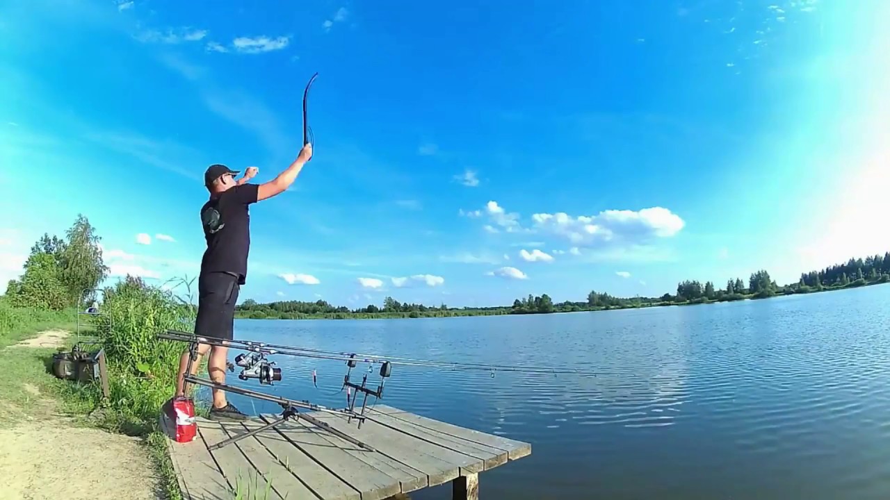 Carp Run Compilation 2016 / Karpiowe brania / Zig Rig
