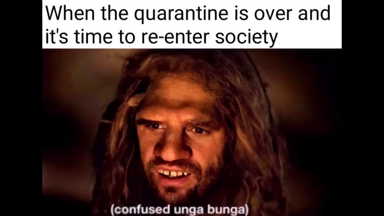 Quarantine memes 2