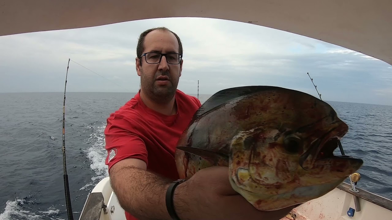 Curricán Costero Yampuas y los trucos que nadie te cuenta Picadas en Directo