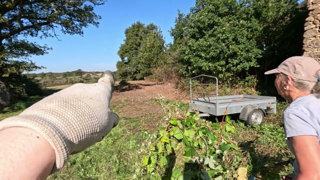 Vlog 25 Dakpannen opruimen en druiven knippen