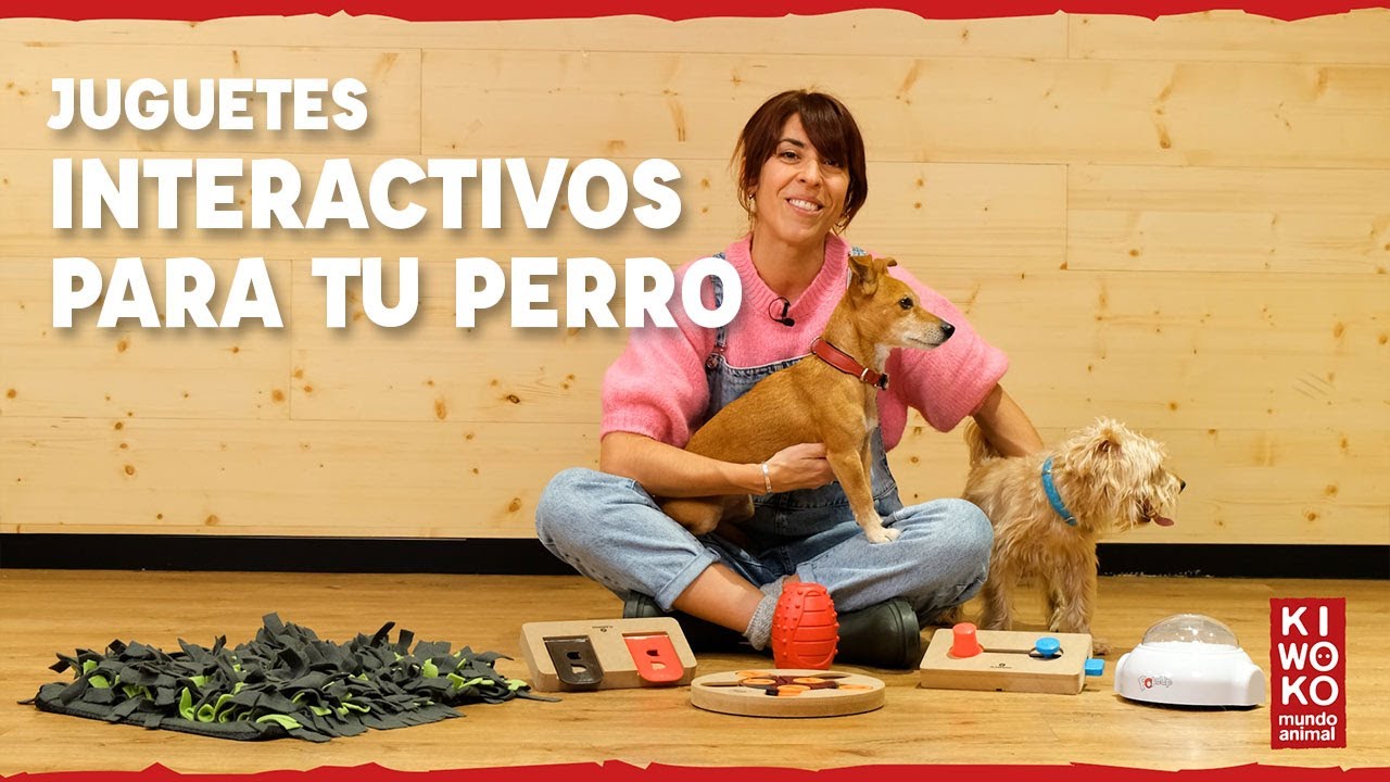 Juguetes Interactivos para perros 🐶🧠【 Guía Completa✅】