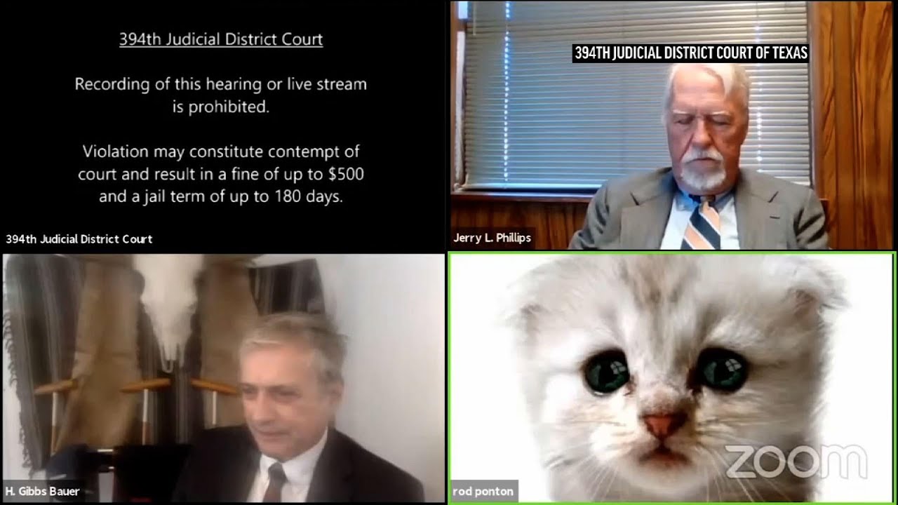 Filter turns lawyer into cat during Zoom hearing