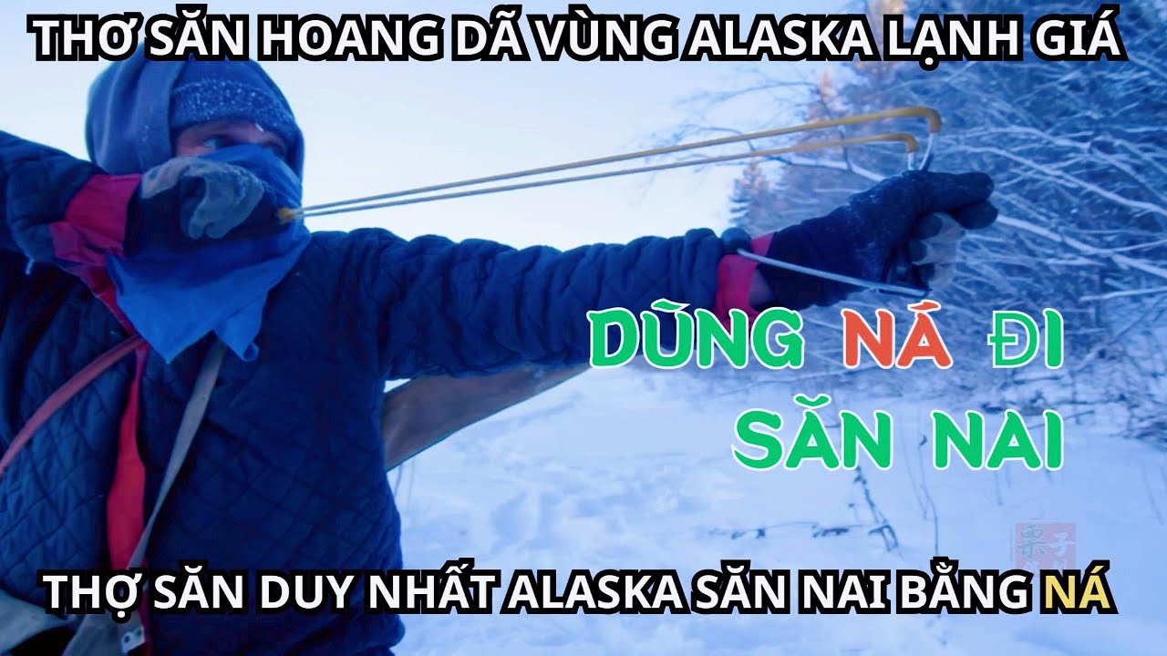 Thợ Săn Hoang Dã Alaska Dùng Ná Săn Nai || Gấu Ca Review
