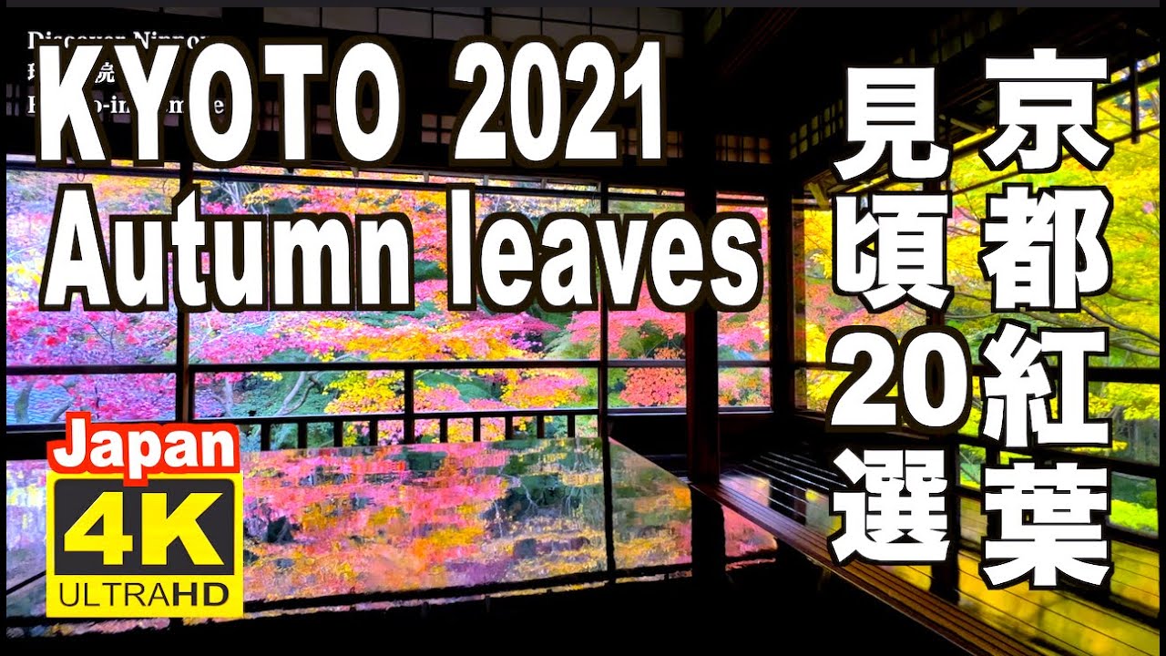 🇯🇵 4K 2021 Japan Kyoto Autumn Leaves Spots 見頃の京都の紅葉 20選 京都観光 旅行 案内 清水寺 東福寺 嵐山 圓光寺 瑠璃光院 永観堂 三千院 日本の紅葉