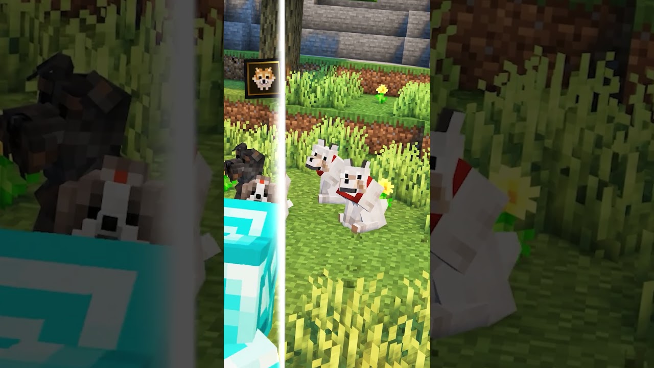 Best Resource Packs Minecraft Java 1.21 #minecraft #minecraftresourcepack