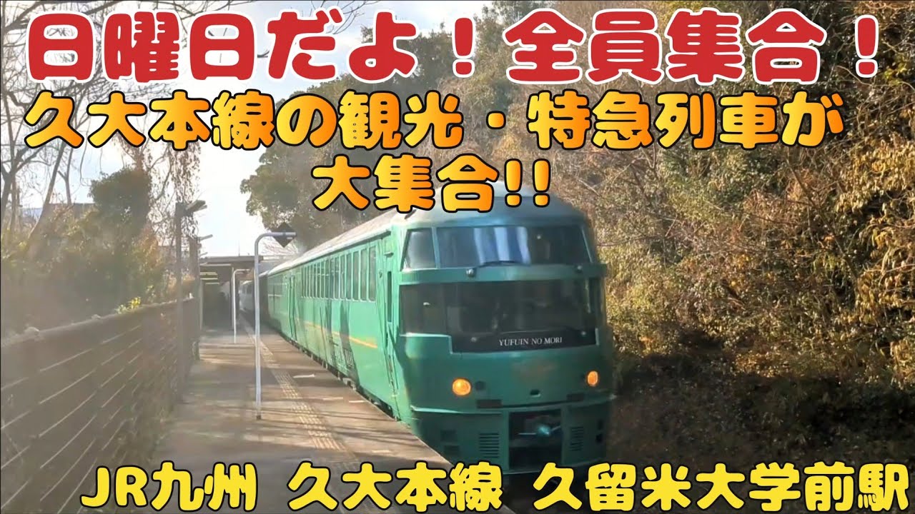 「日曜日だよ！全員集合！ 久大本線の観光・特急列車が大集合!!」JR九州🔴 久大本線 久留米大学前駅