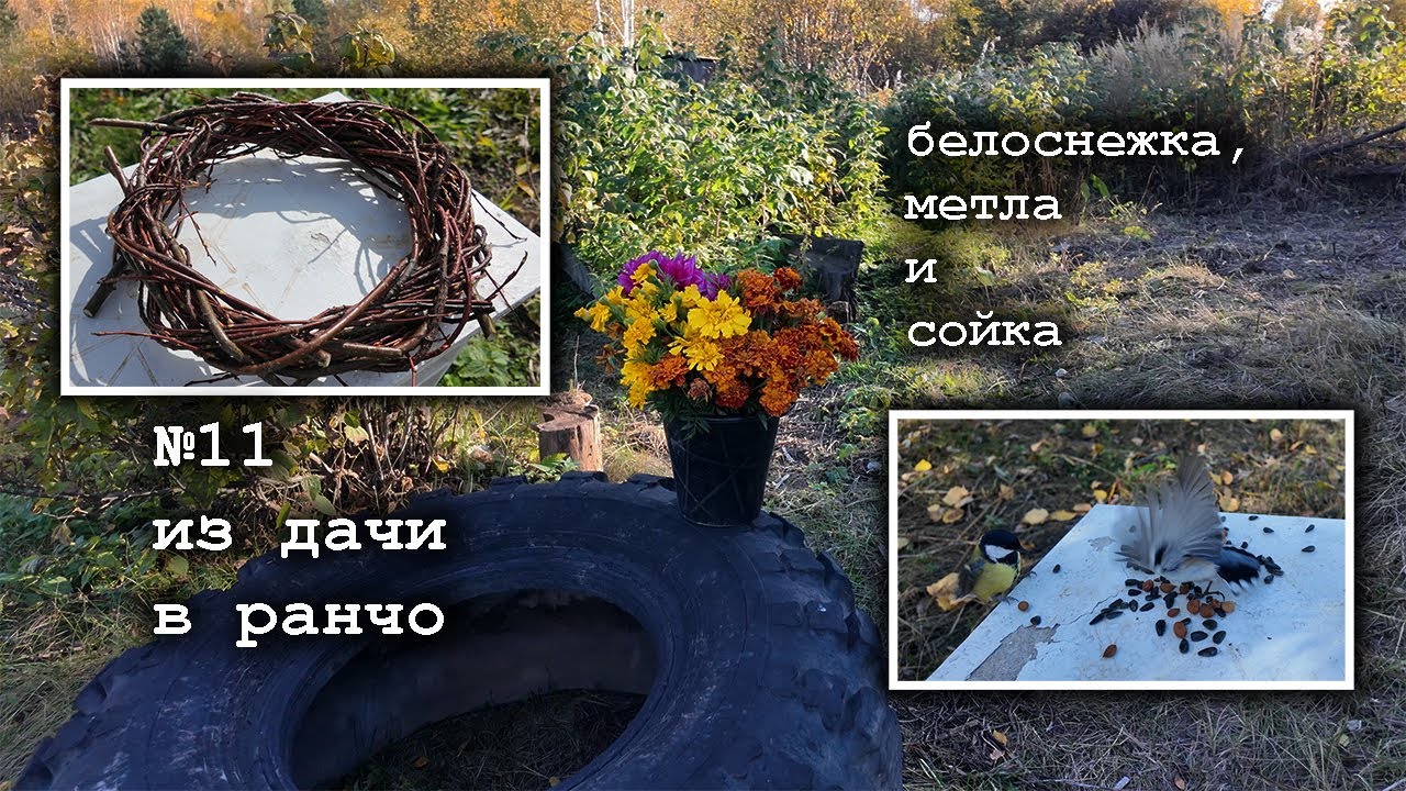 №11 Венок из веток и золотая метла из полыни на заброшенной даче. Мотивация на уборку.