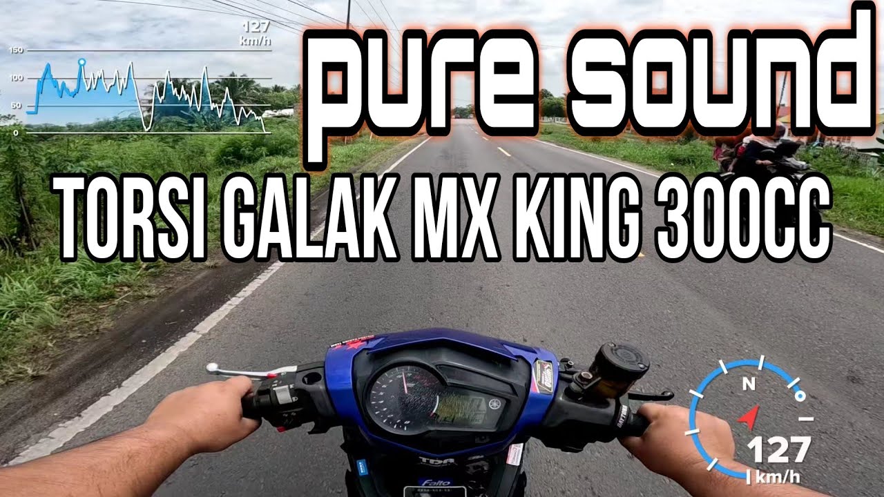 Pure sound Mx king 300cc