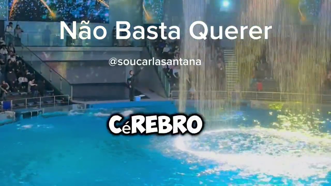 Não Basta Querer: É Preciso Acreditar, Sentir e Agir