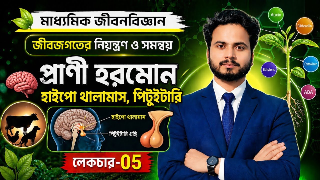 হাইপো থালামাস, পিটুইটারি | প্রাণী হরমোন | Class 10 Life Science