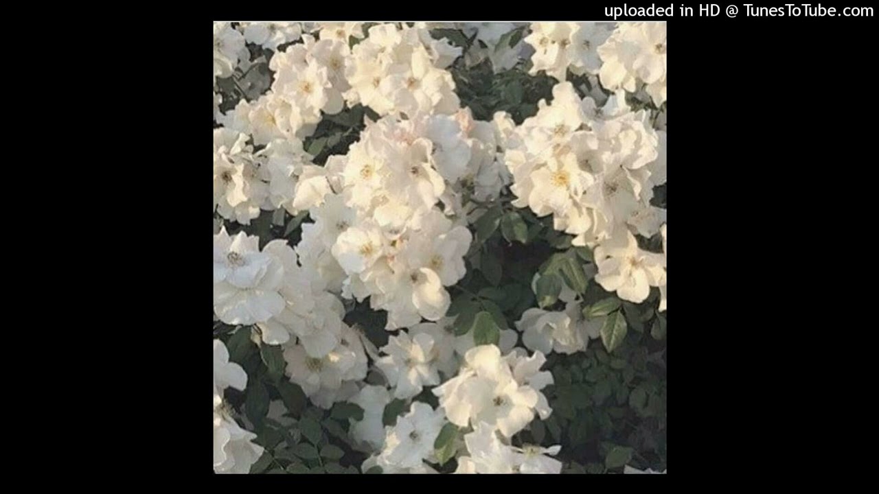 [free] chill izaya tiji type beat - "fantasy"