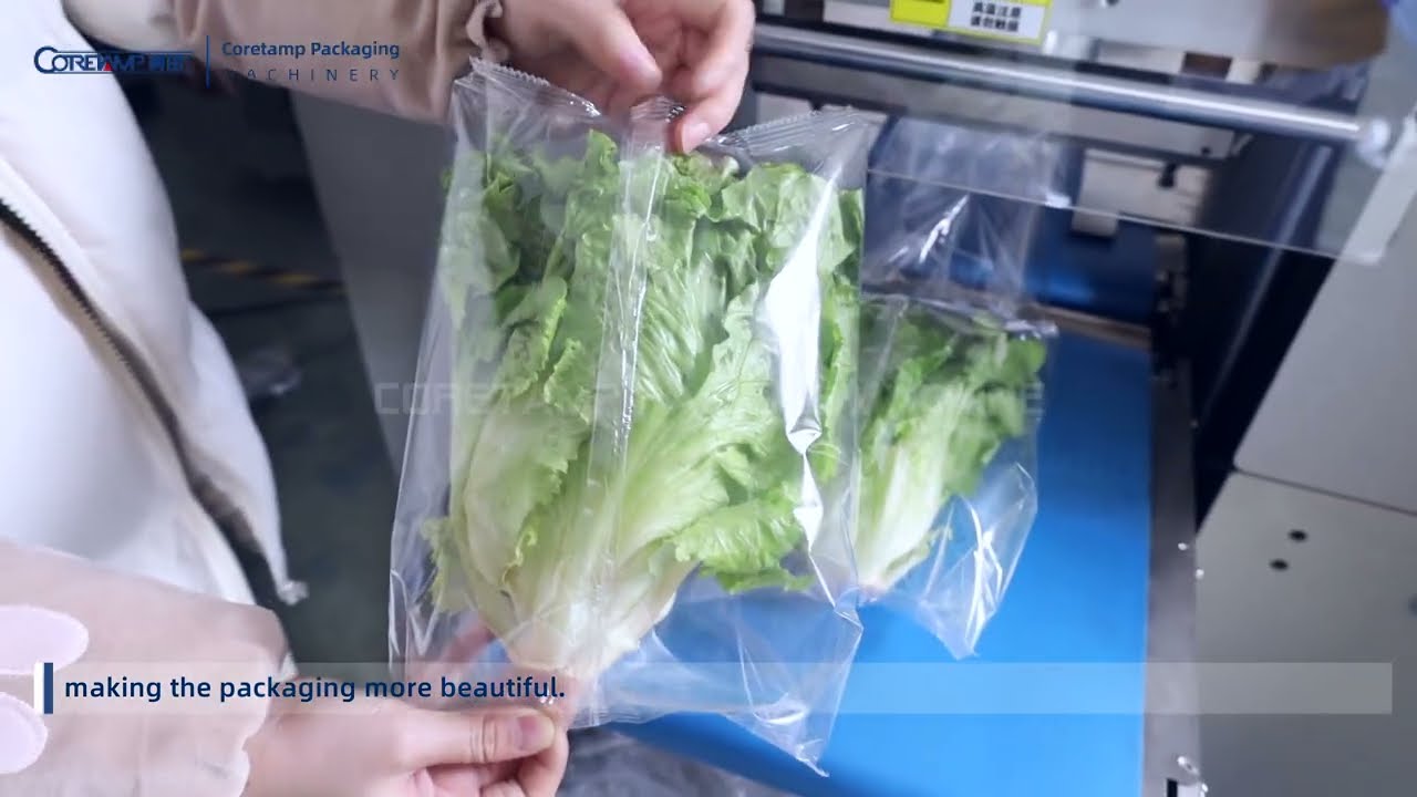 Fresh Vegetables and Fruits Nitrogen Gas Inflate Plastic Bag Packet Flow Packaging Machine