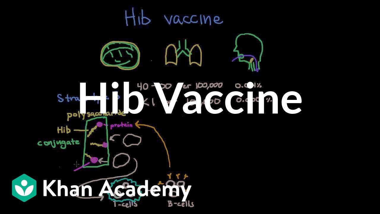 Szczepionka przeciwko Hib | Choroby układu oddechowego | NCLEX-RN | Khan Academy