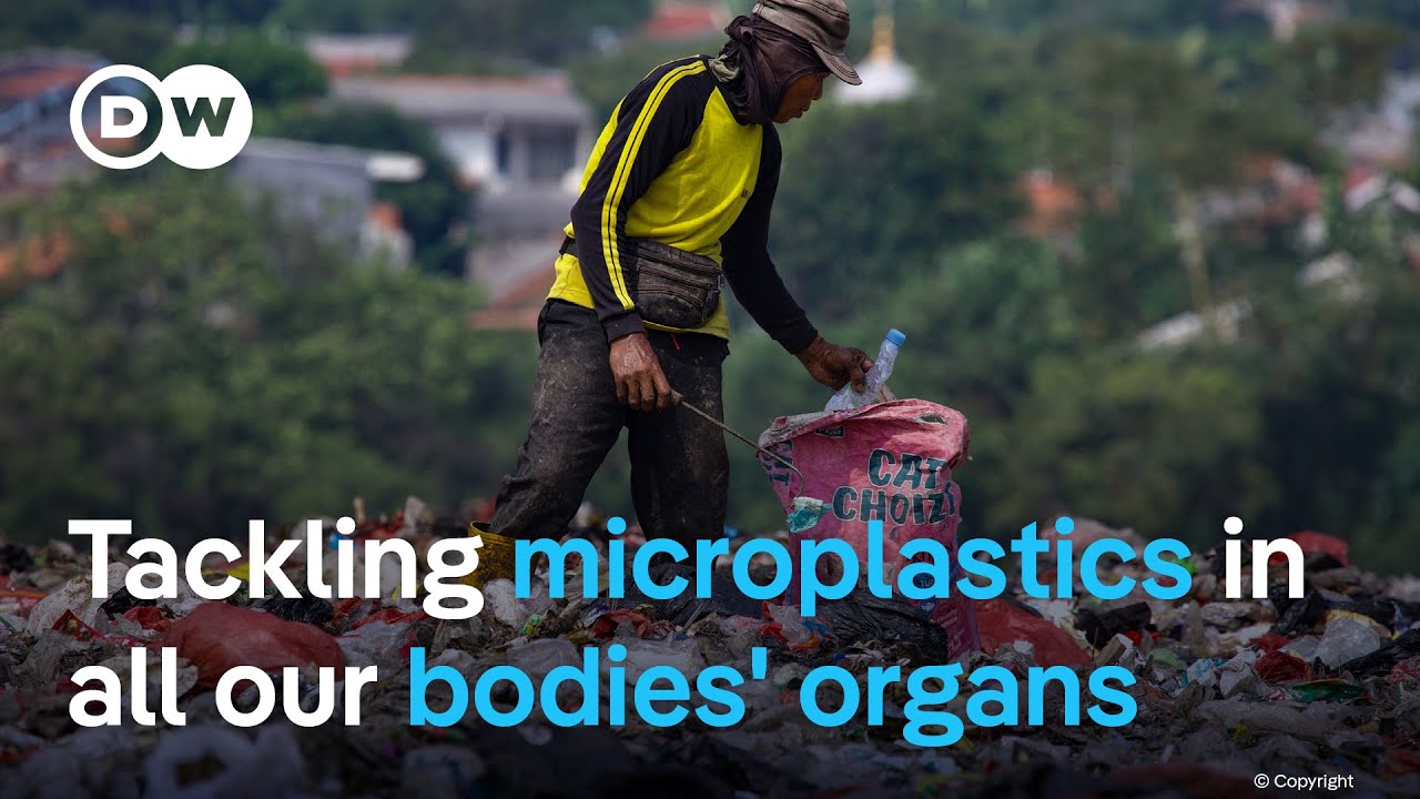 Plastic pollution reaches 52 million tonnes a year: Can latest UN treaty change this? | DW News