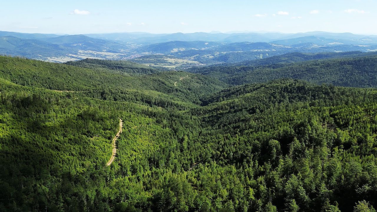 Hala Radziechowska poza szlakowo - Beskid Śląski