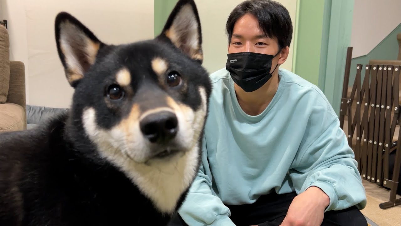 大吉の巨大化が止まらなくて心配な件について
