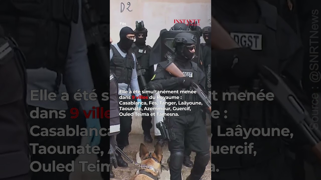 Le BCIJ arr&ecirc;te 12 membres de Daech dans 9 villes, pr&eacute;voyant des attaques 