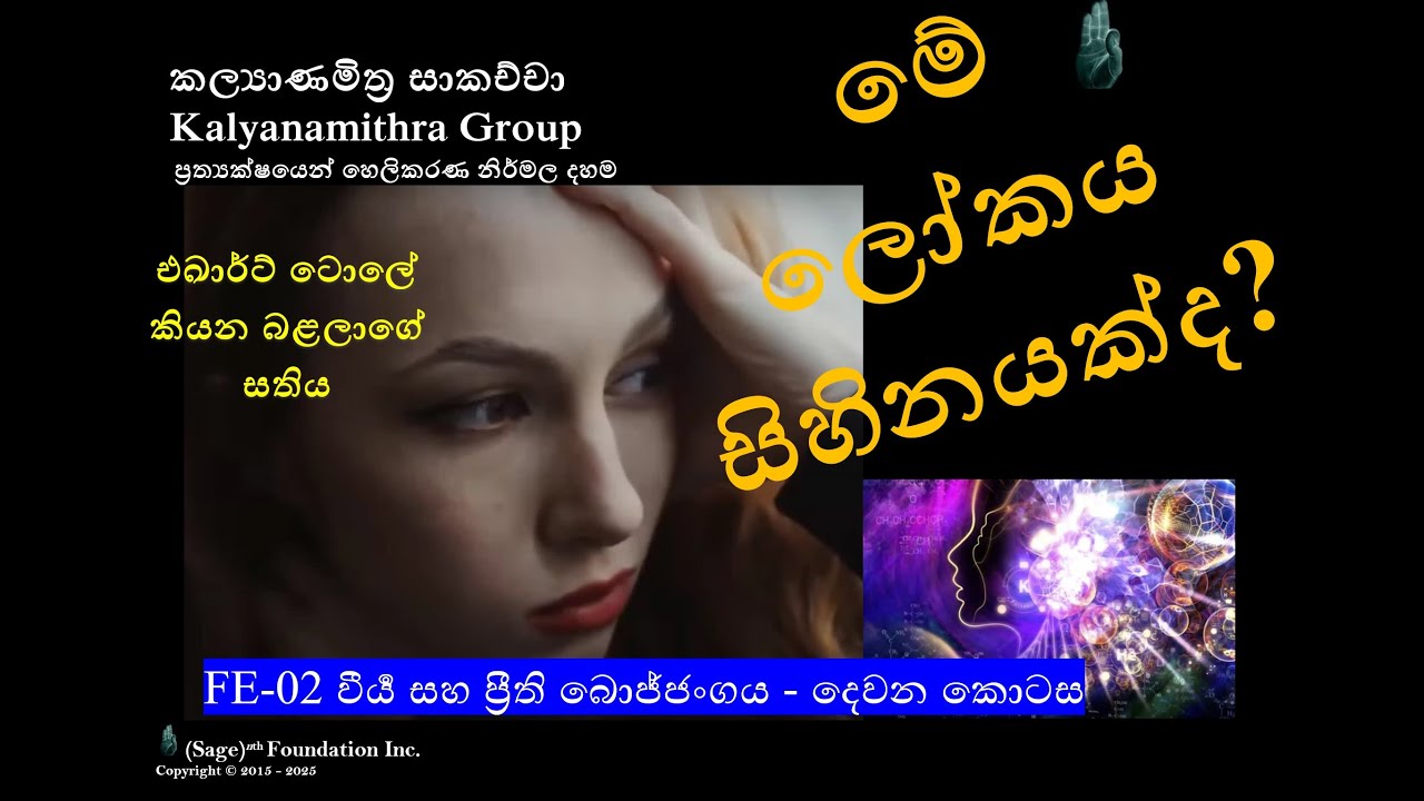 FE-02 Dream World මේ ලොකය සිහිනයක්ද? / P-2 වීර්‍ය සහ ප්‍රීති බොජ්ජංගය #භාවනා #සම්මා #buddhism