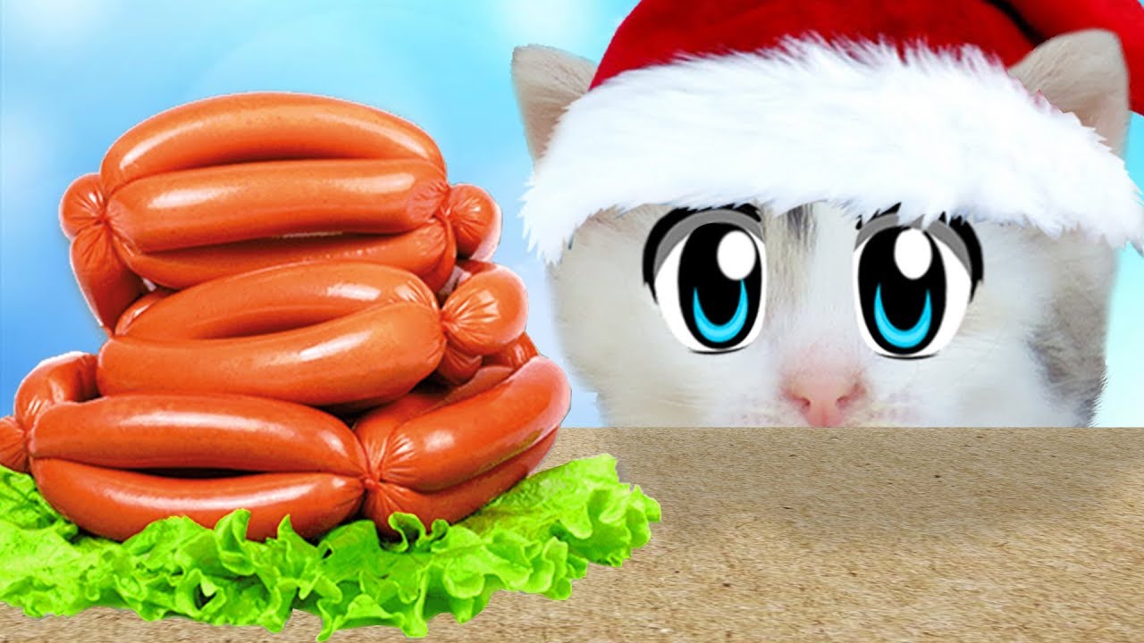 НОВОГОДНИЙ РОЗЫГРЫШ! СМЕШНОЙ КОТ МАЛЫШ И МУРКА РАЗЫГРАНЫ! Лайфхак ДЛЯ КОТОВ и веселый ПРИКОЛ