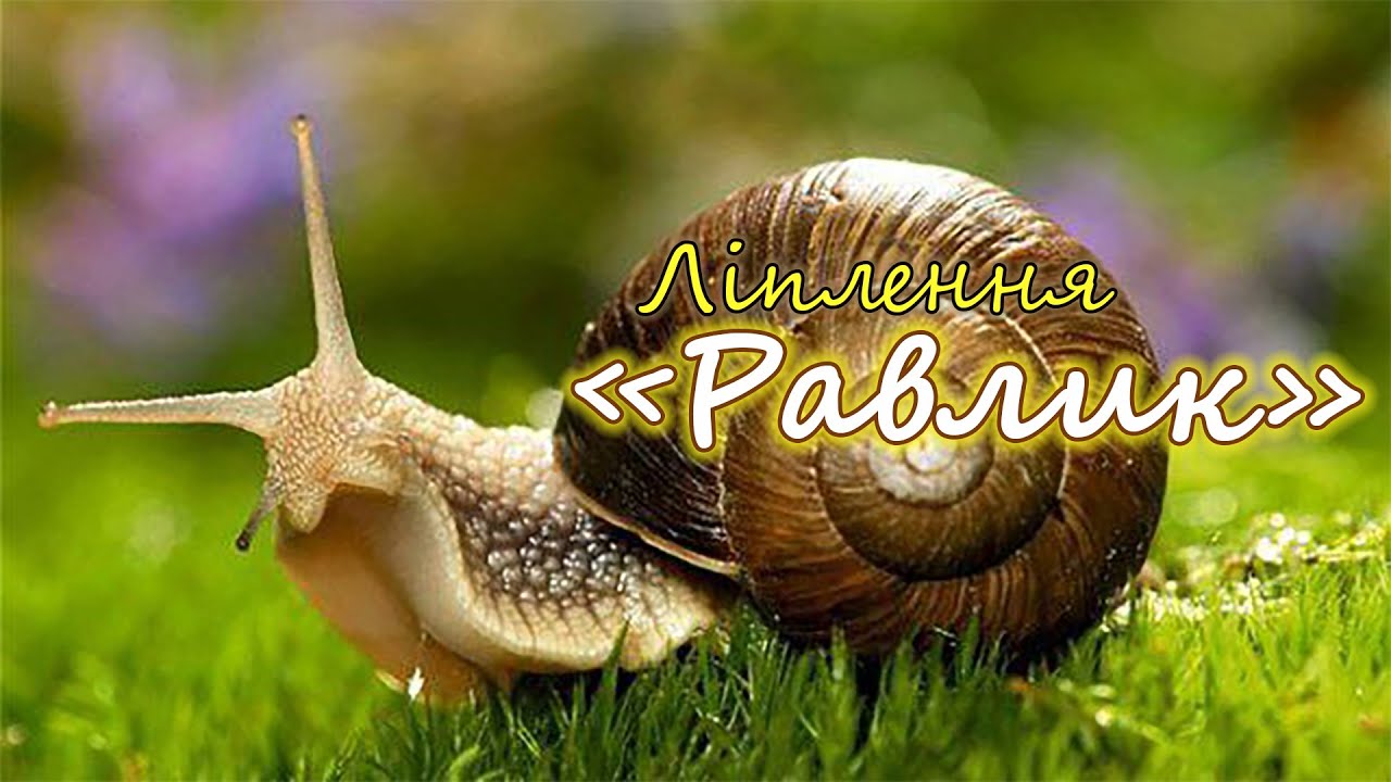 Ліплення 