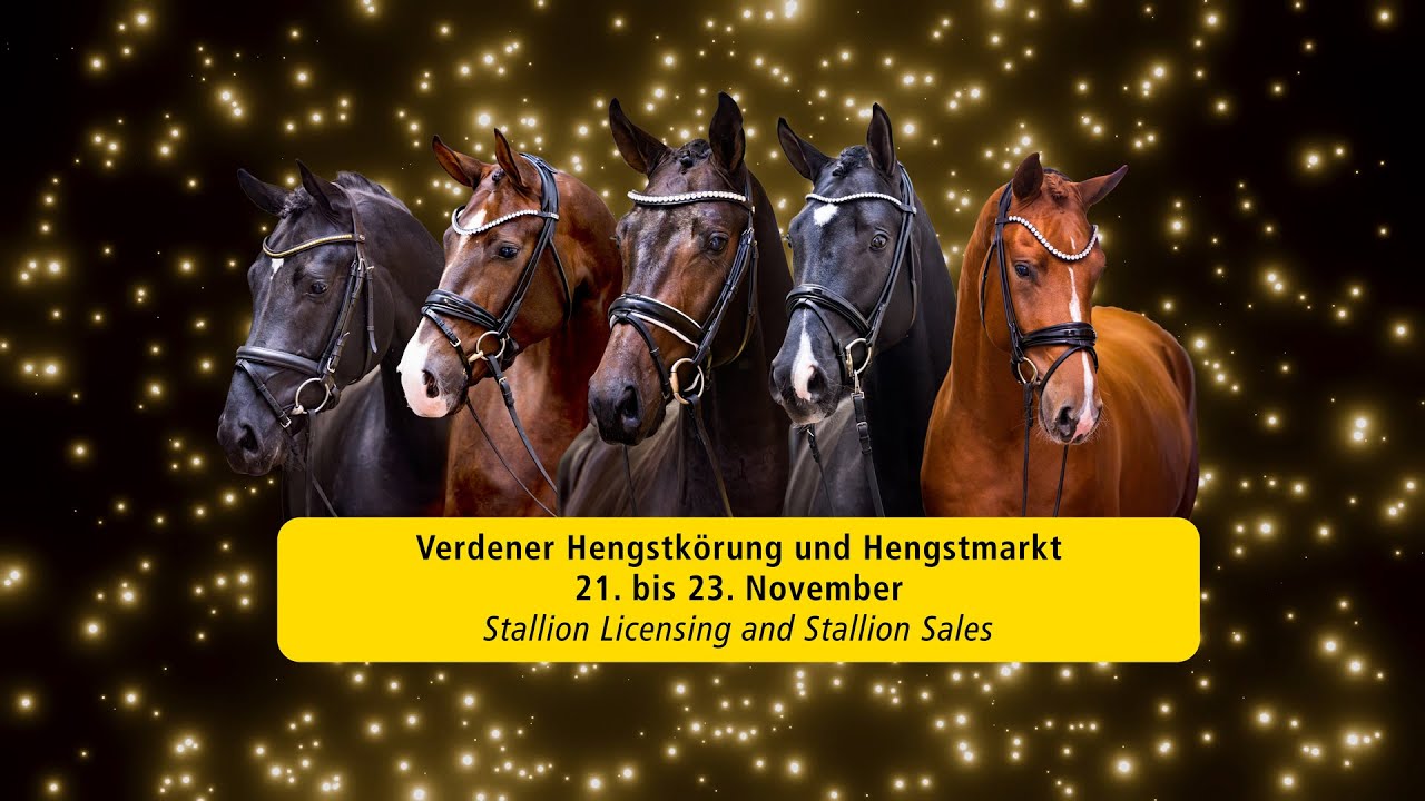 Verden Stallion Licensing 2024 - Dressage - Nov. 22/23