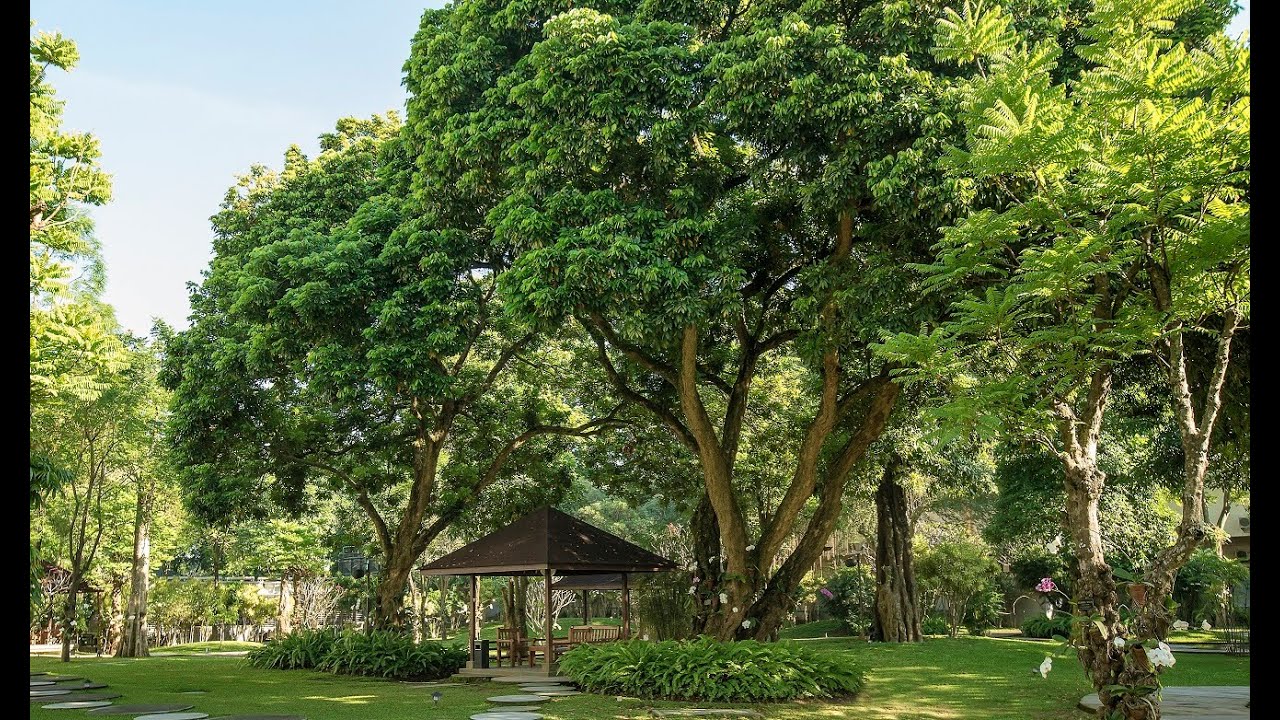 (360 Virtual Tour) Royal Garden - Royal Ambarrukmo Yogyakarta