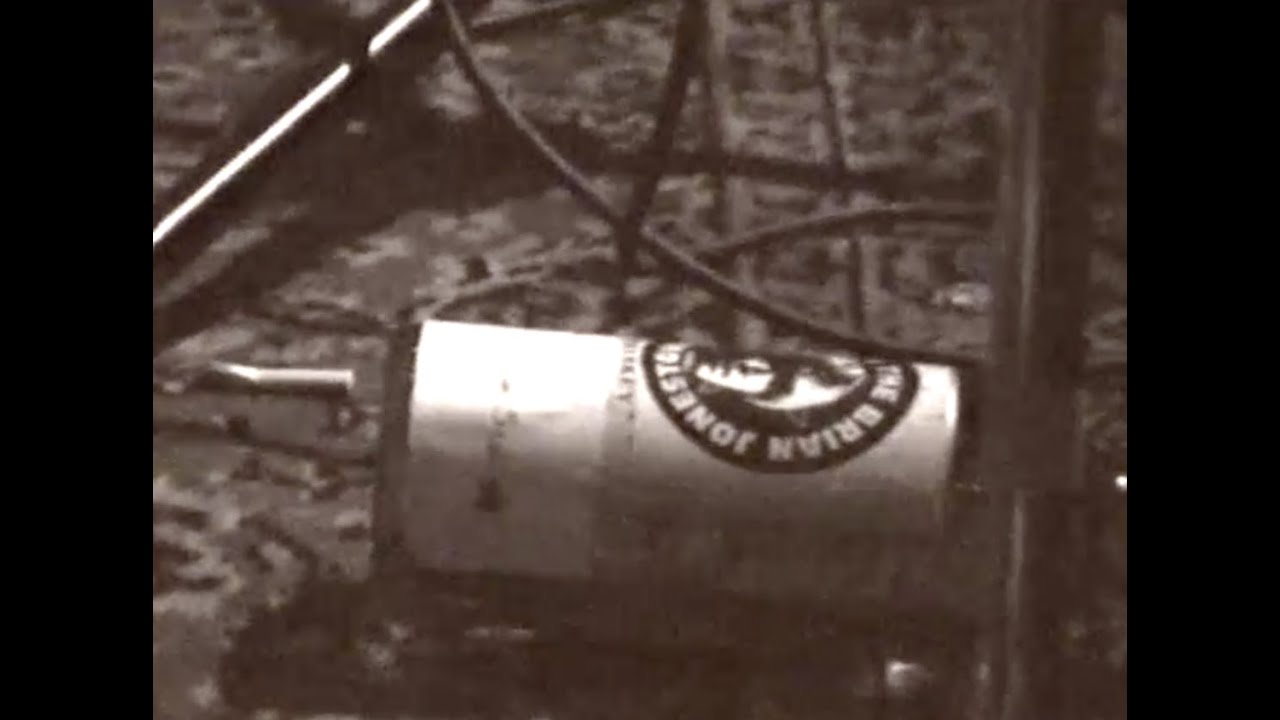 The Brian Jonestown Massacre 
