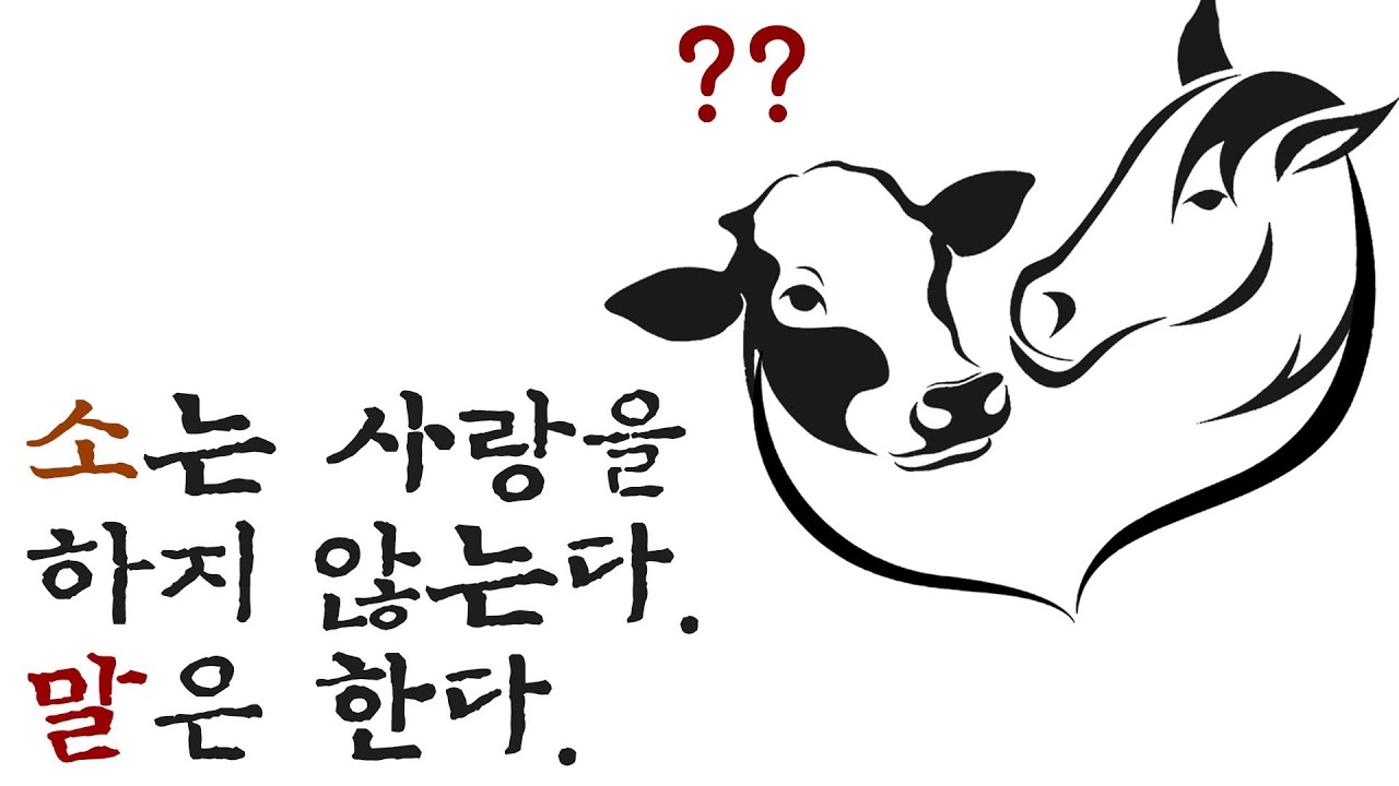 인간이 미안해...소와 말의 엇갈린 사랑 방식