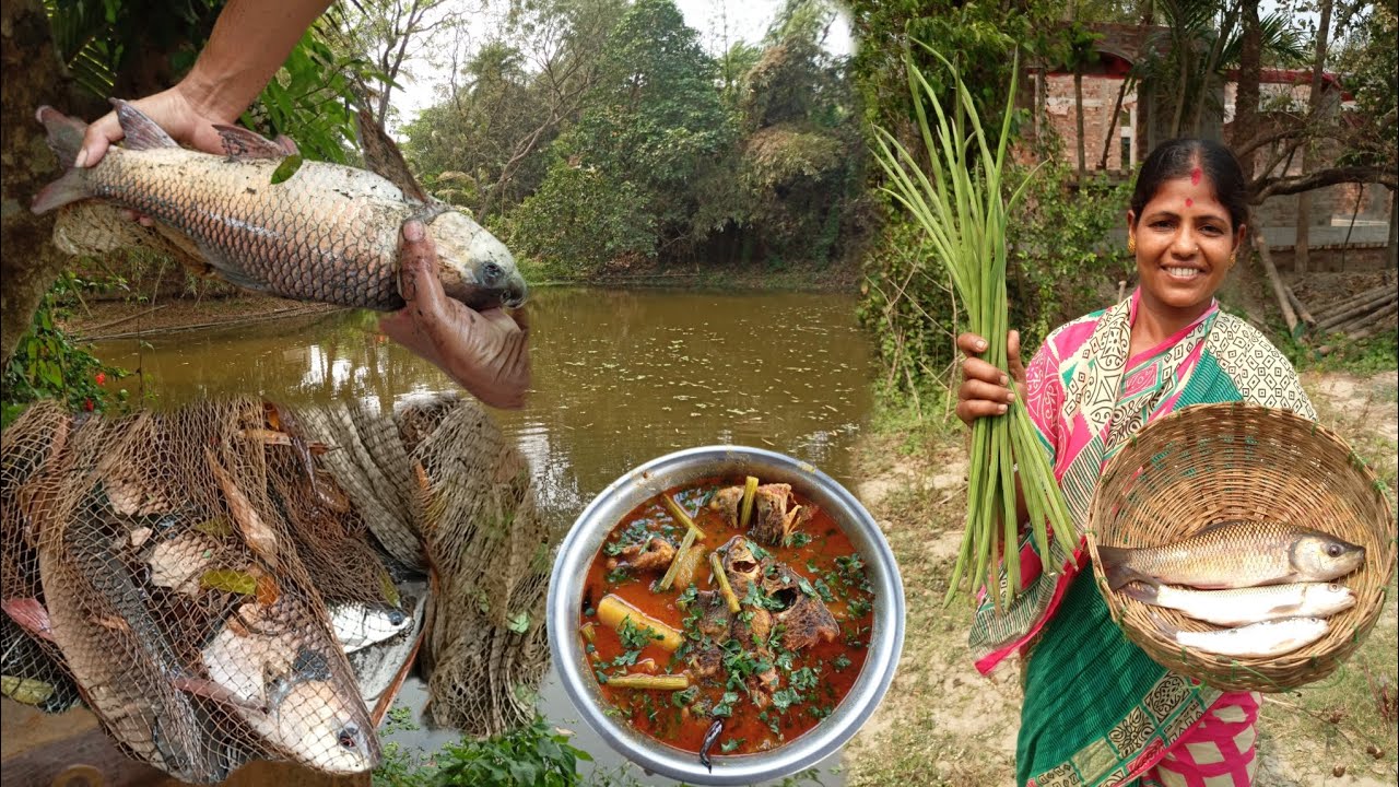 বড়ো পুকুর থেকে মাছ ধরে গাছের সজনে ডাঁটা দিয়ে ঝোল রান্না। Village Fishing & drumstick fish curry।