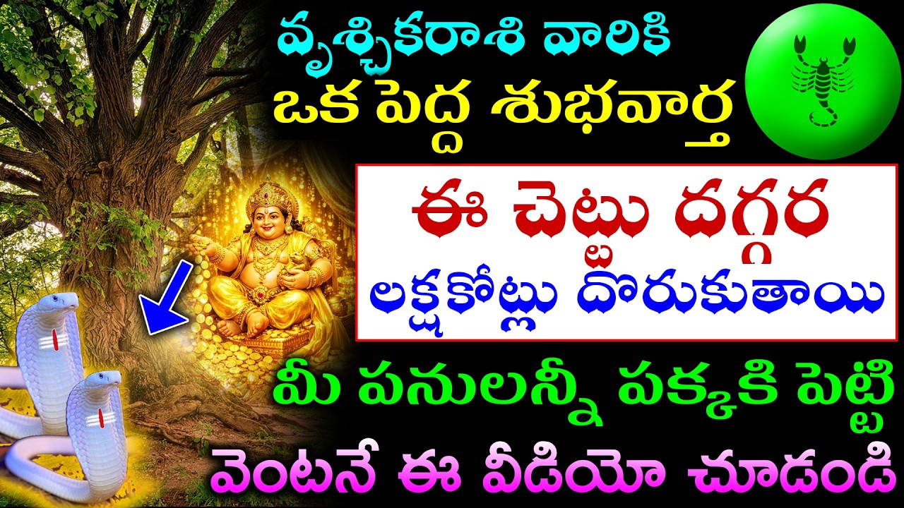 వృశ్చికరాశి వారికి ఈ చెట్టు దగ్గర లక్షకోట్లు దొరుకుతాయి మీ పనులన్నీ పక్కకి పెట్టి  వెంటనే చూడండి