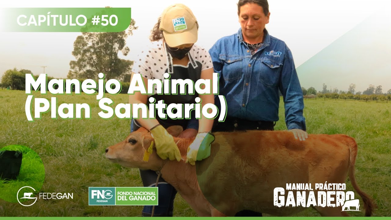 Cap 50 - (Plan Sanitario) Manejo Animal
