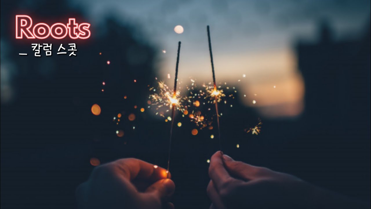 💥 멋대로 피어난 여름처럼 | Calum Scott (칼럼 스콧) - Roots (가사/해석)