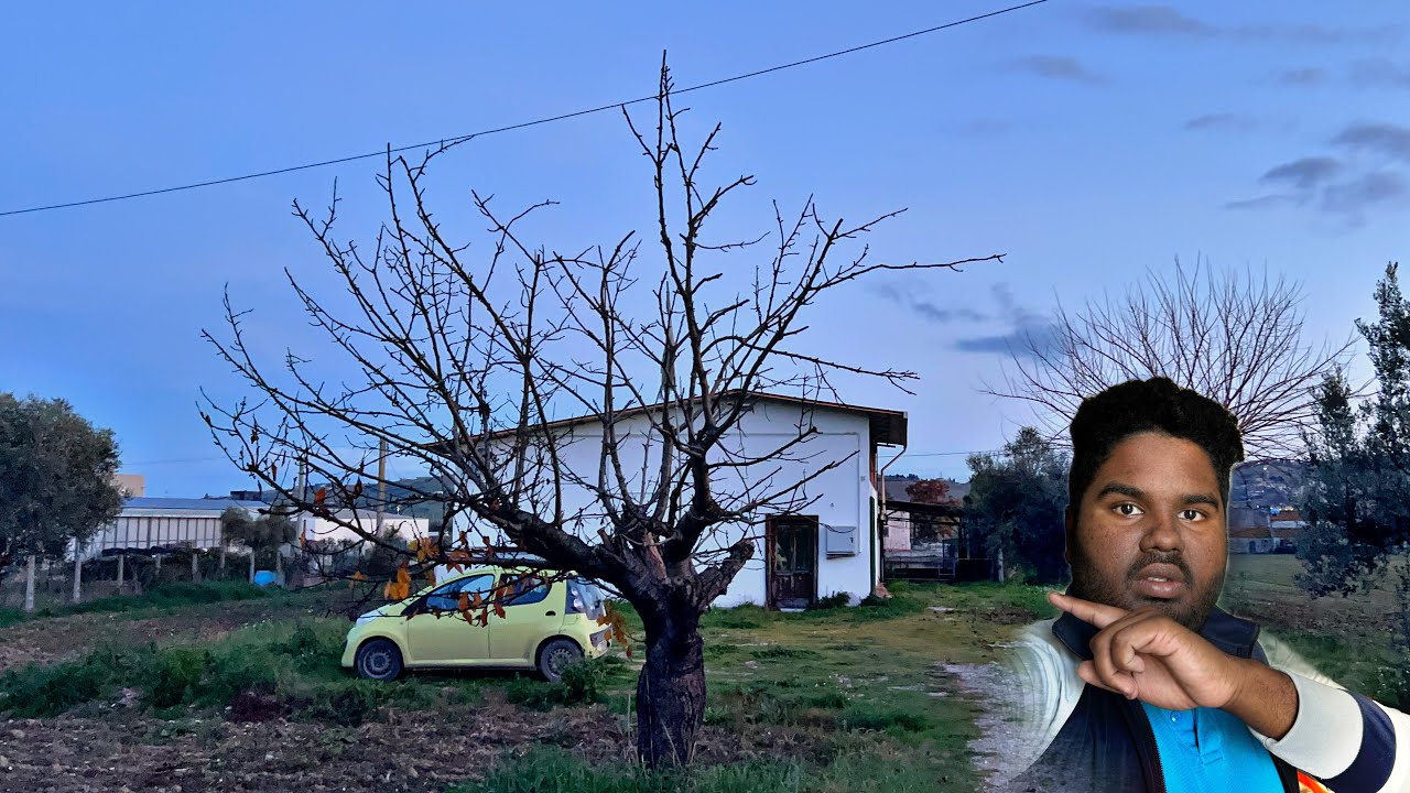 ইতালির একটি পরিত্যক্ত বাড়ি যার মধ্যে কয়েক  যুগ ধরে মানুষ থাকে না 