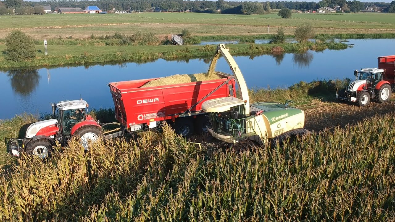 Zandman chopping corn
