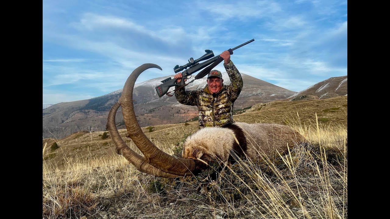 Caza de Ibex de bezoar y jabalí en Turquia. Ibex and boar hunt in Turky.