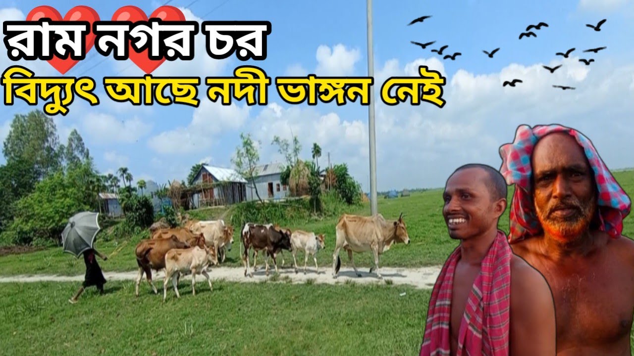 এই চরে ৩০০০ টাকা শতাংশ জমি নিবেন কিভাবে! রামনগর চর!villagelife/Rurallife/countrylife