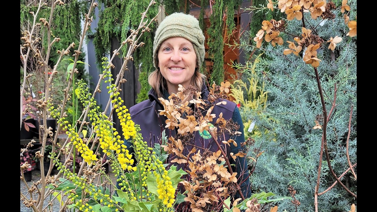 Plants for Winter Interest