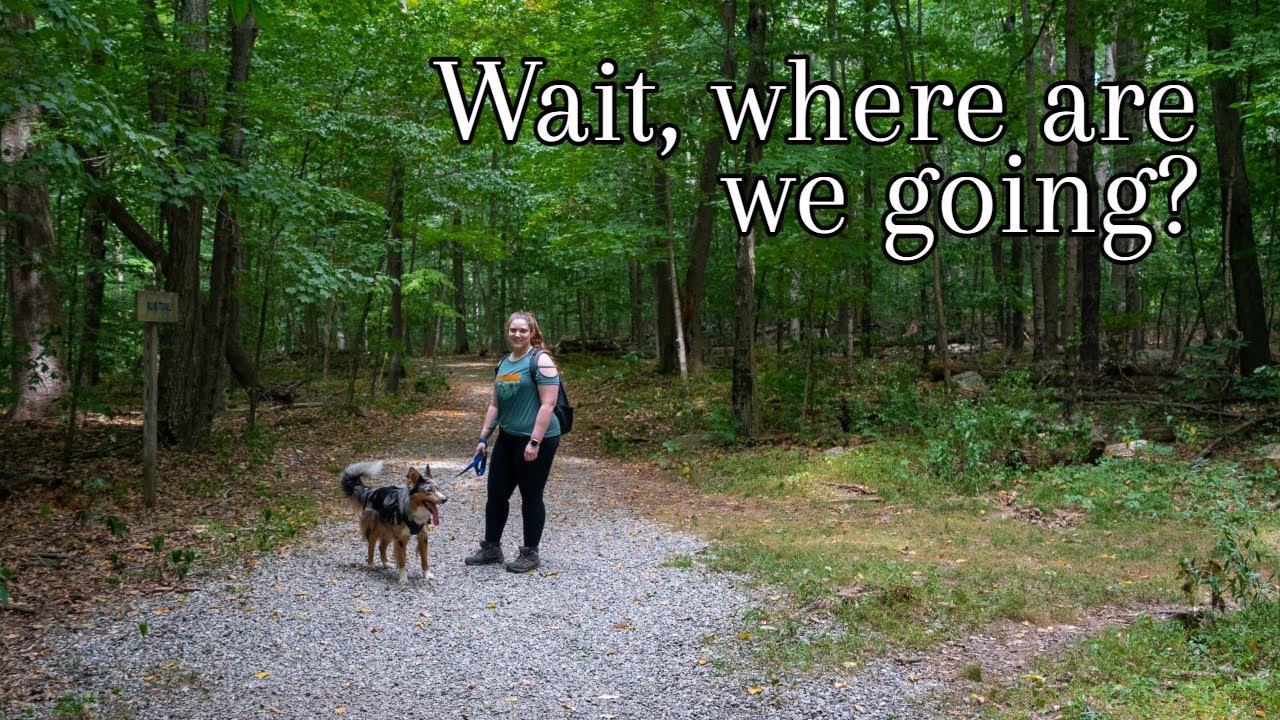 Nina chooses the adventure | Hiking Alice Newton Park and Tidal Marsh Trails