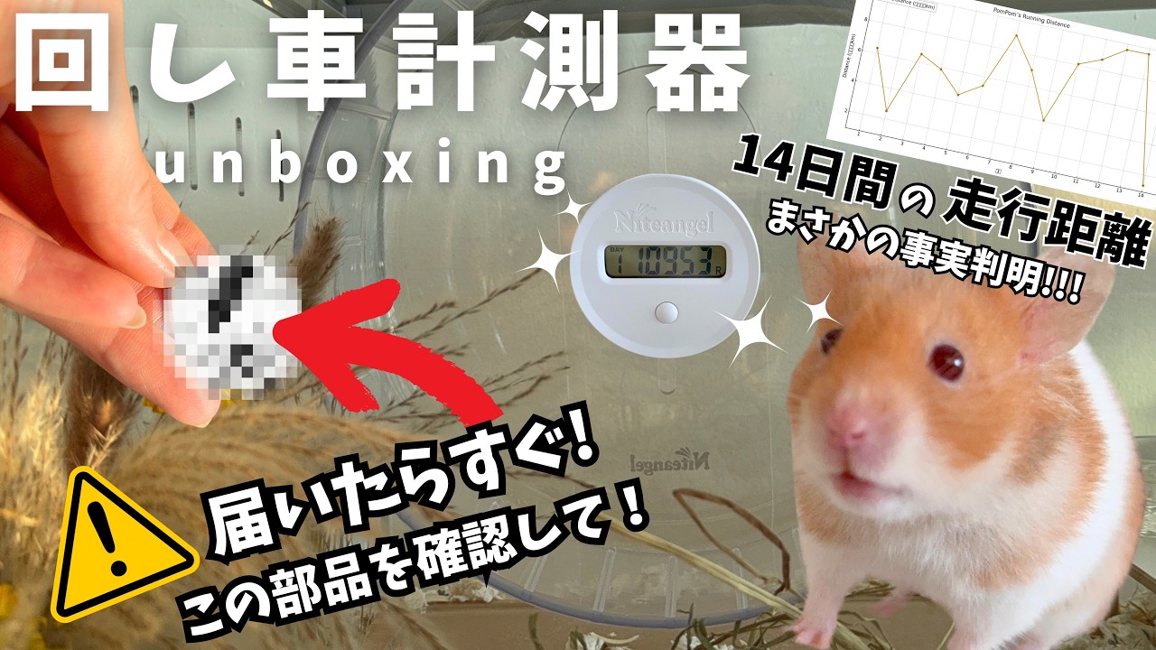 ハムスター回し車計測器【Niteangel】開封レビュー！使い方・注意点＆驚きの走行距離🐹公開