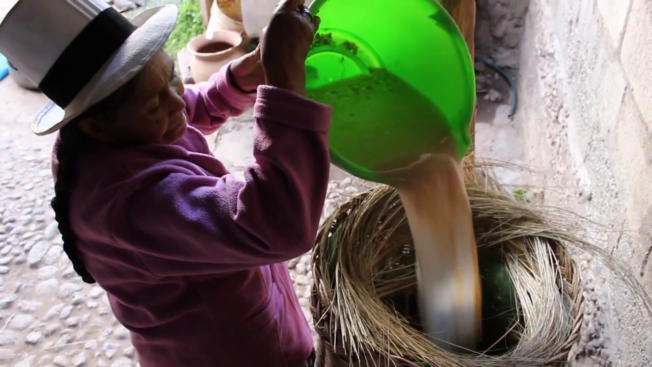 Chicha de Jora, bebida milenaria de los Incas -Cusco