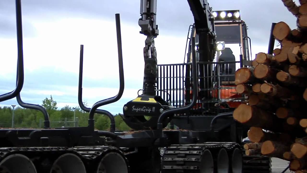 Timbear Lightlogg C (English)