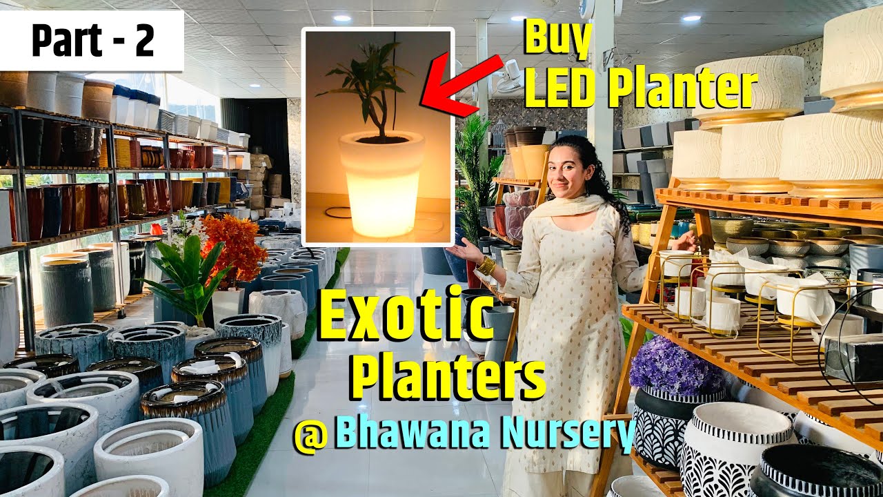 Exotic  Planters at Bhawana Nursery ,Gurgaon  | LED Planters | Near Sikanderpur Metro Station |