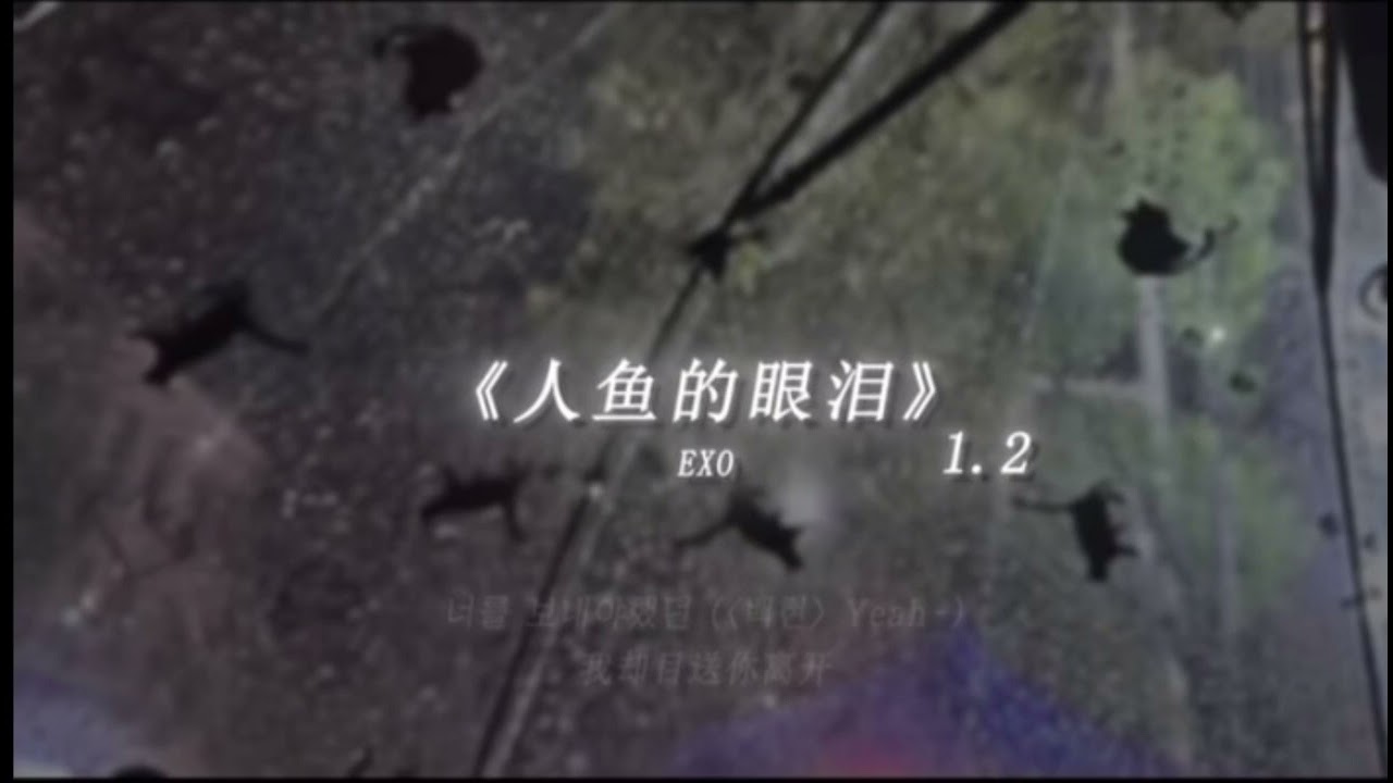 人魚的眼淚1.2倍速-EXO