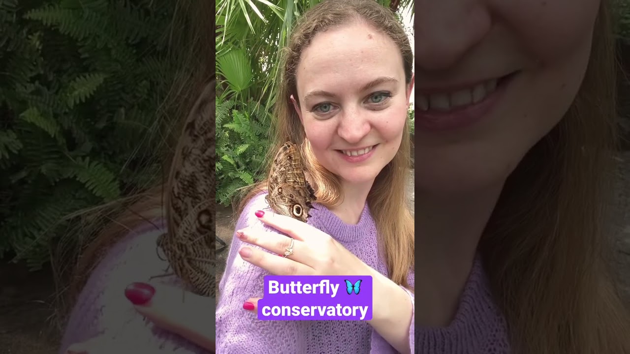 Happiness is a butterfly🦋 thanks Niagara Falls butterfly conservatory